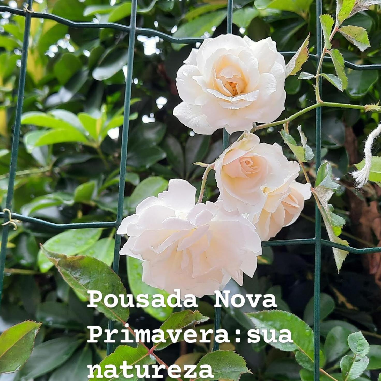 Pousada Nova Primavera Убатуба Екстериор снимка