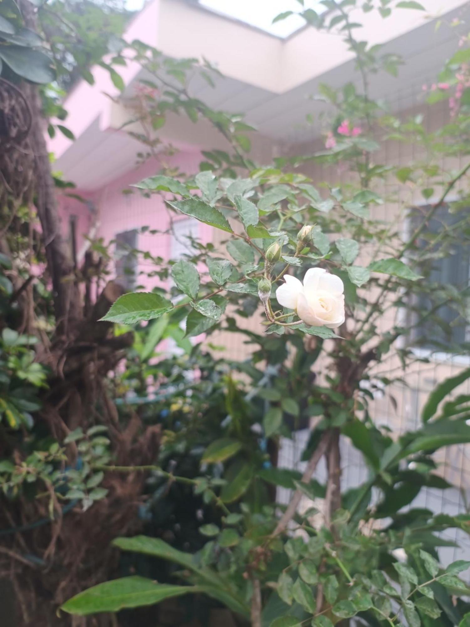Pousada Nova Primavera Убатуба Екстериор снимка